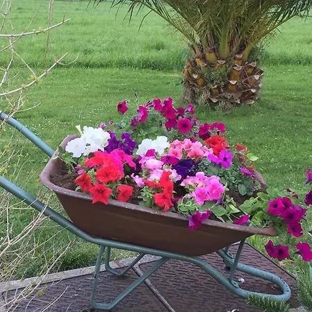 Hotel Rancho Santa Geronima